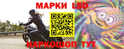 дживик Аша