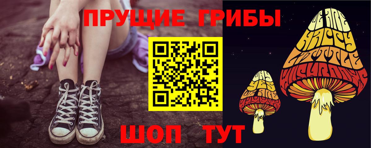 Псилоцибиновые грибы Magic Shrooms Советская Гавань